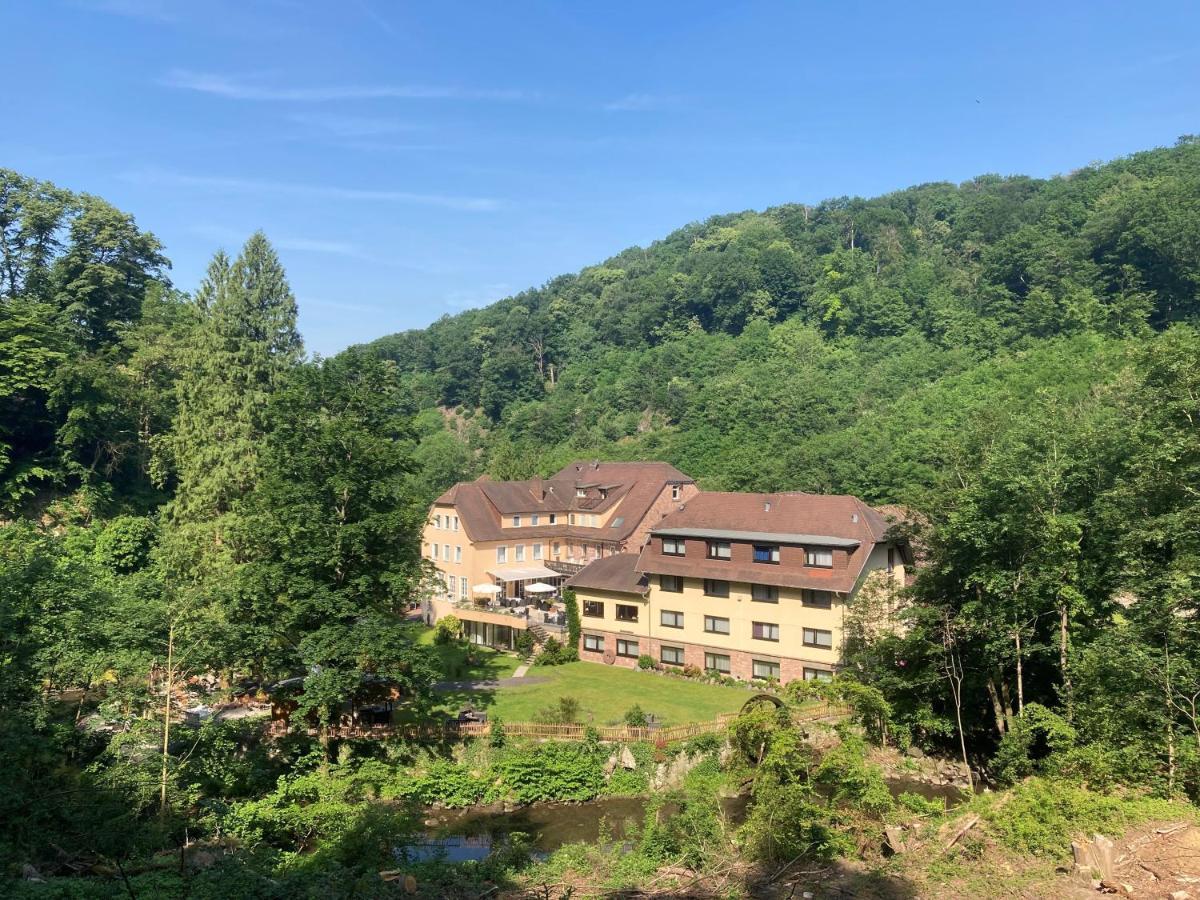 Fuchs'Sche Muehle Hotel Weinheim Buitenkant foto